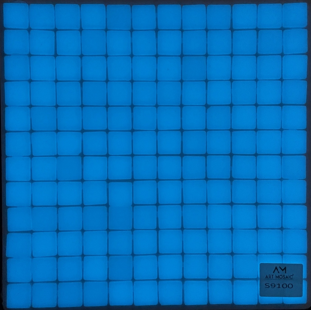 S9100
