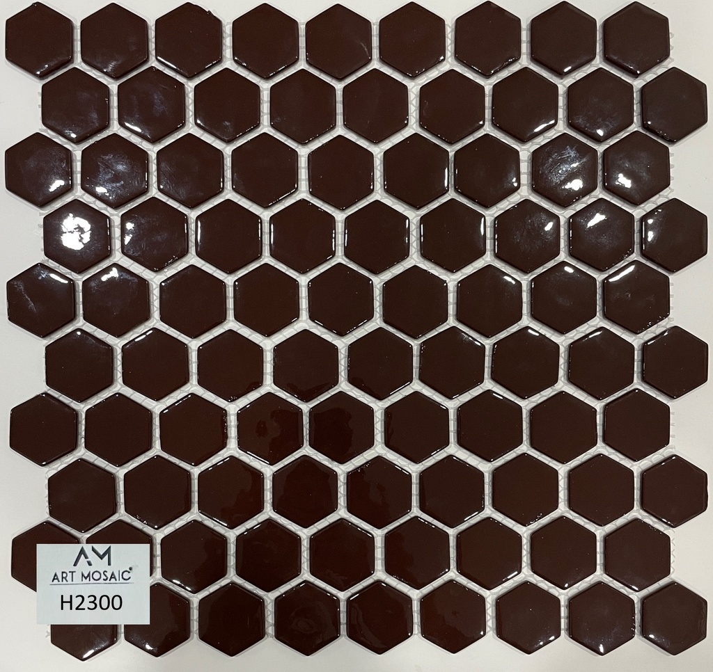 H2300