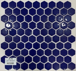 H2100